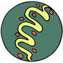 Sqiggle